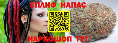 дурь Шебекино