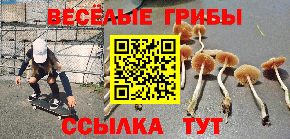 Псилоцибиновые грибы Psilocybine cubensis Кемерово
