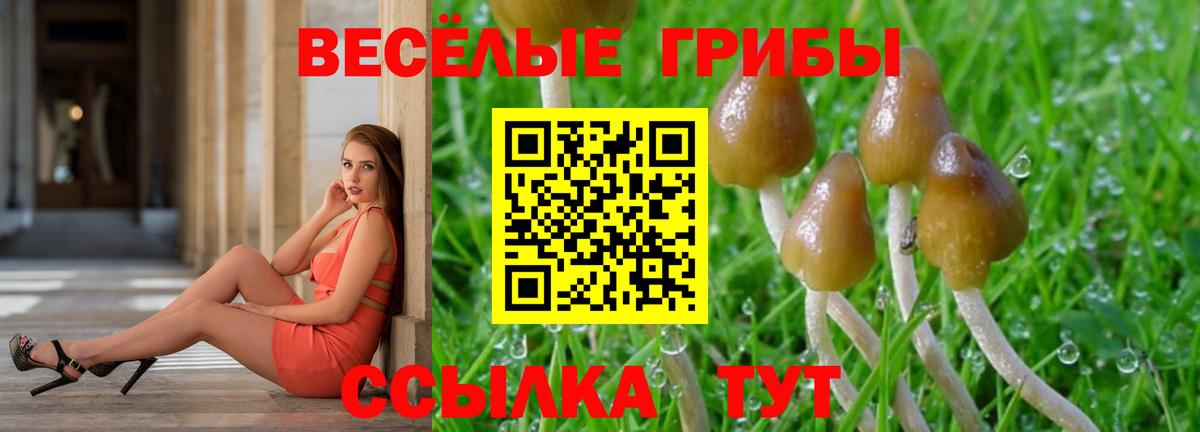 Кемерово  Галлюциногенные грибы GOLDEN TEACHER  Вход с VPN 